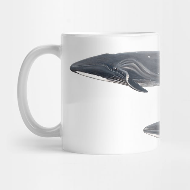 Sei whale by chloeyzoard